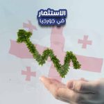 الاستثمار في جورجيا