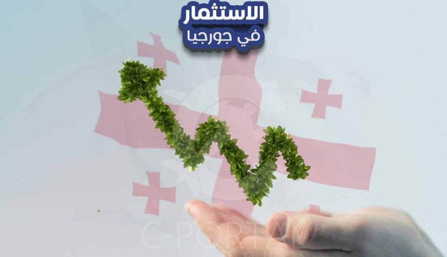الاستثمار في جورجيا