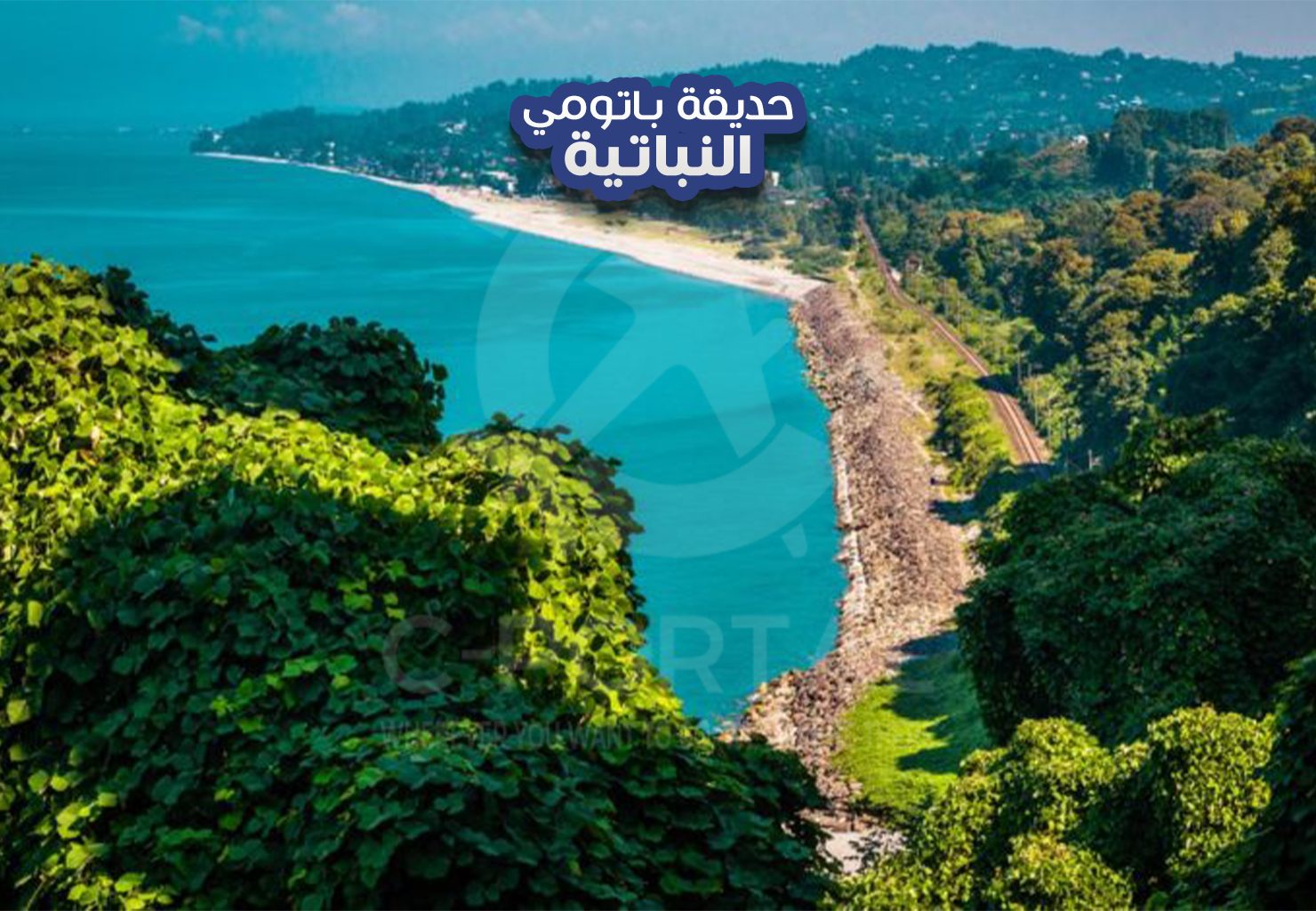 حديقة باتومي النباتية