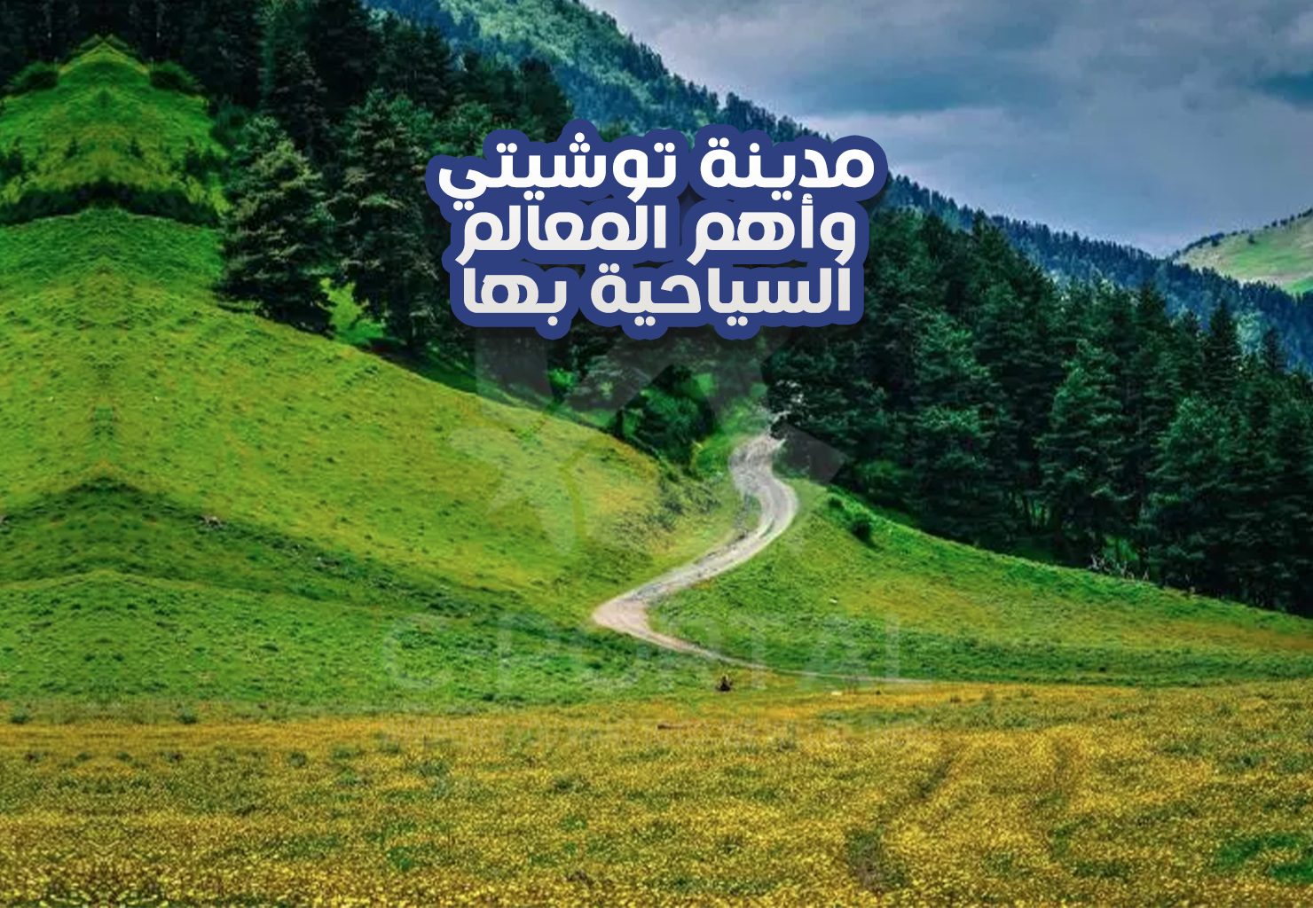 مدينة توشيتي وأهم المعالم السياحية بها