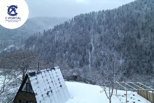 أكواخ لاند هاوس بورجومى