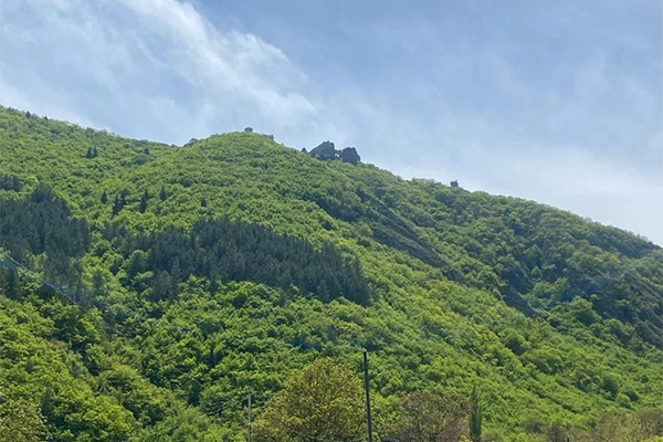أكواخ Lightwood cabins