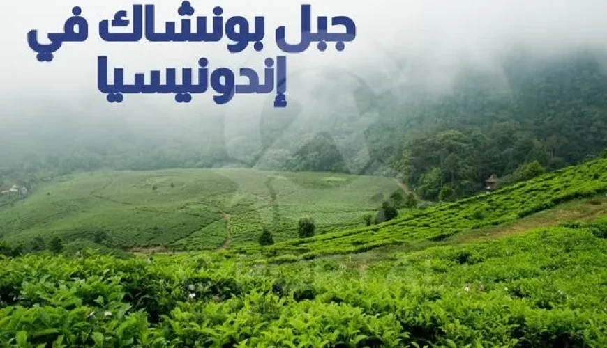 جبل بونشاك في إندونيسيا
